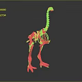 Detailed Brown Bird Skeleton With Long Neck Legs And Gray Reflective Background