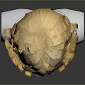 Game and Movie Character 3D Head Model With Golden Curly Hair And White Features