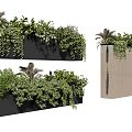 Bonsai Potted Plants In Modern Rectangular Planters With Lush Greenery And Hanging Vines 3d model