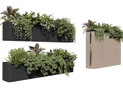 Bonsai Potted Plants In Modern Rectangular Planters With Lush Greenery And Hanging Vines 3d model