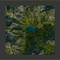 Lush Garden Landscape Featuring 3D Terrain Model Green Vegetation And Blue Lake