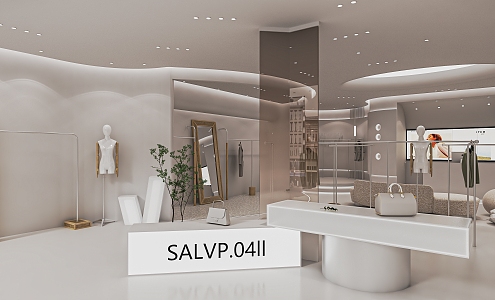 Modern Clothing Store Women's Clothing Store Clothing Shelf Booth Cashier Shaped Showcase Fitting Mirror Nakajima Booth 3d model