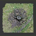 Wood Stone Decorative Art Piece With Natural Texture Square Design Green And Dark Patterns Center
