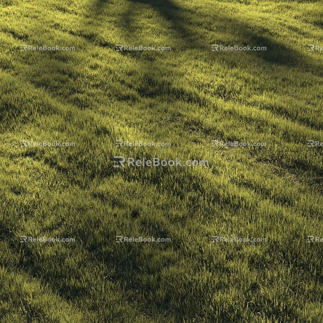 Green grass lawn grass plants flowers 3d model