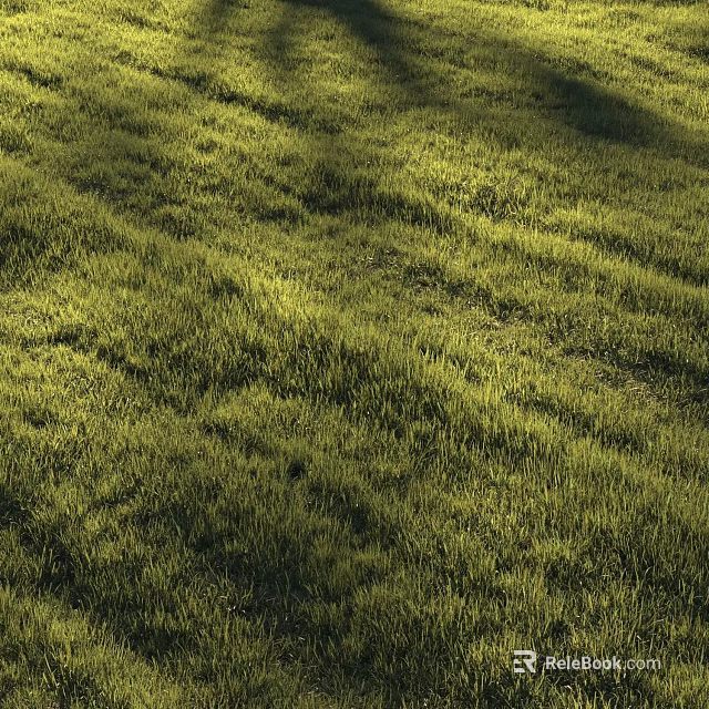 Lush Green Grass in Sunlit Field with Natural Growth and Vibrant Fresh Texture 3d model 