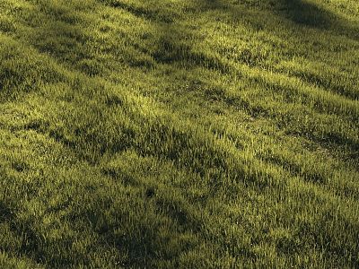 Green grass lawn grass plants flowers 3d model