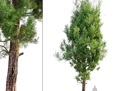 Decorative Ornaments Combination With Green Tree Decor And Small Figurine For Home 3d model