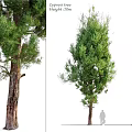 Decorative Ornaments Combination With Green Tree Decor And Small Figurine For Home