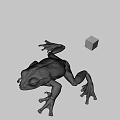 Green Frog With Stretched Legs And Colorful Rubik's Cube On Gray Background
