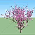 Deciduous Tree with White Trunk and Lush Green Leaves Under Blue Sky with Clouds 3d model