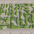 Japanese Karesansui Garden Design With Green Moss And Textured Gravel Patterns