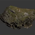 Natural Rock With Rough Textured Surface And Mossy Vegetation Cover