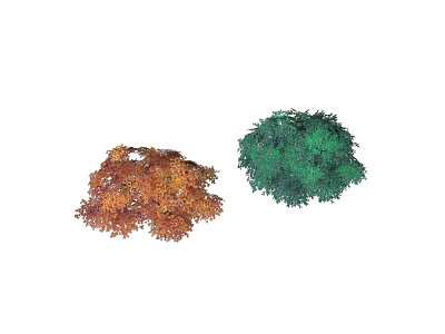 Orange Red and Green Arbor Trees with Dense Foliage and Natural Canopy 3d model