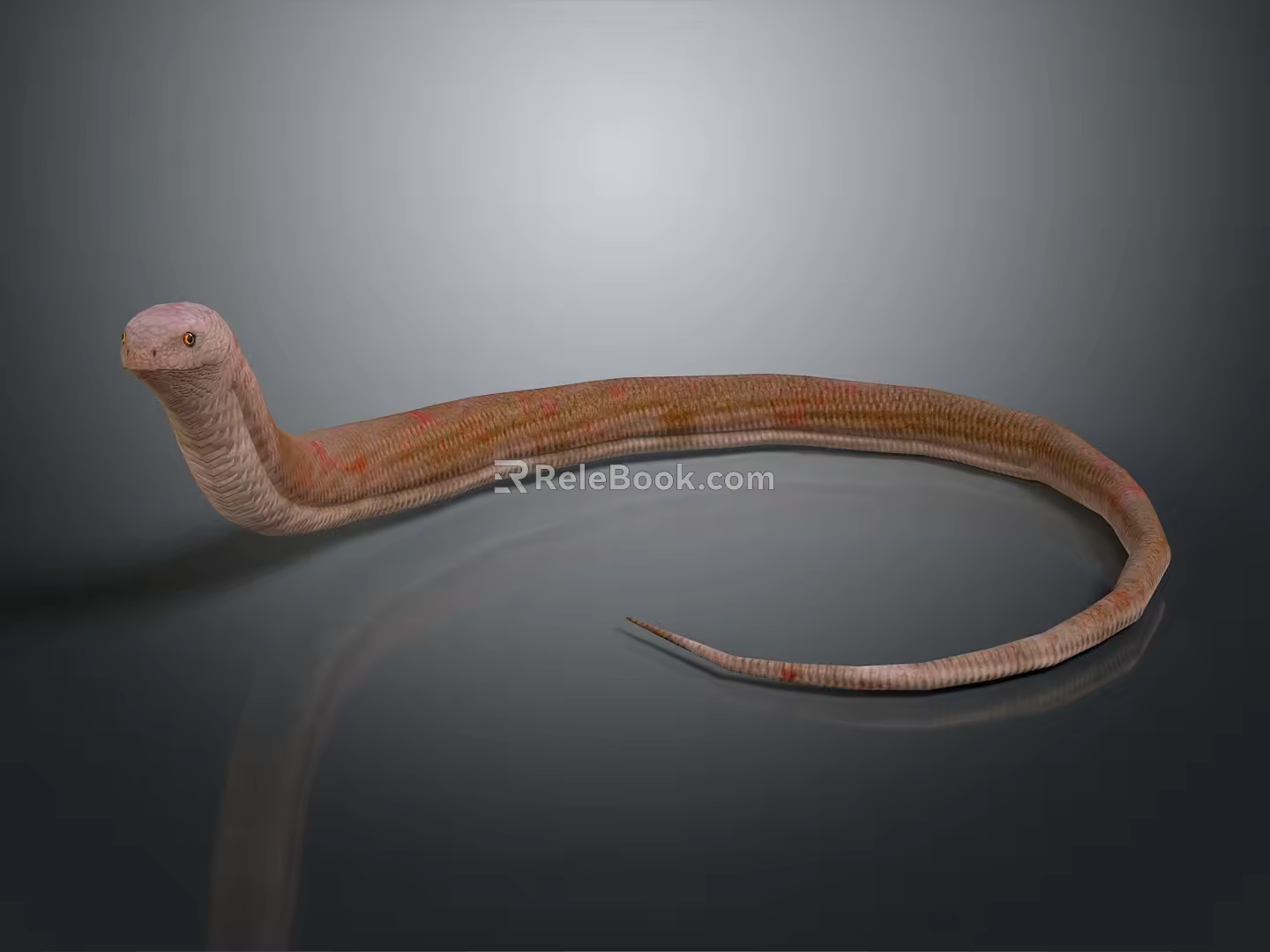 snake cobra venomous snake python reptile cold-blooded animal reptile 3d model