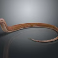 snake cobra venomous snake python reptile cold-blooded animal reptile 3d model