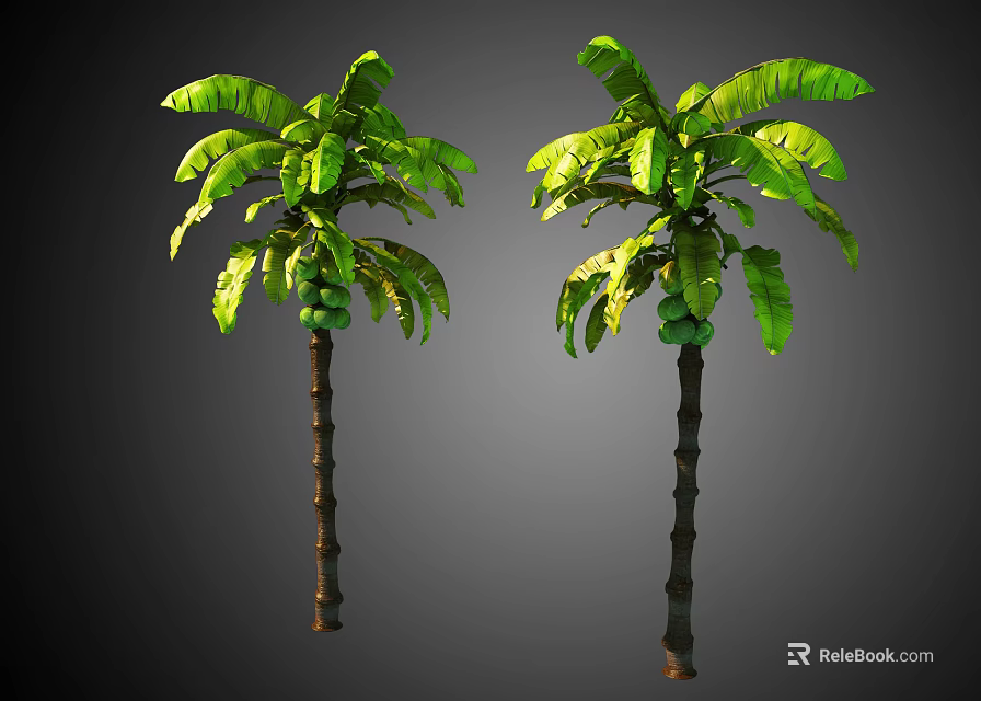 Two Tropical Palm Trees with Lush Green Leaves and Brown Trunks Isolated on Dark Background 3d model 