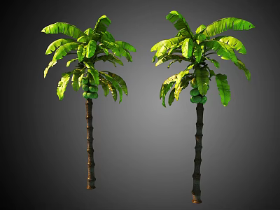 Two Tropical Palm Trees with Lush Green Leaves and Brown Trunks Isolated on Dark Background 3d model