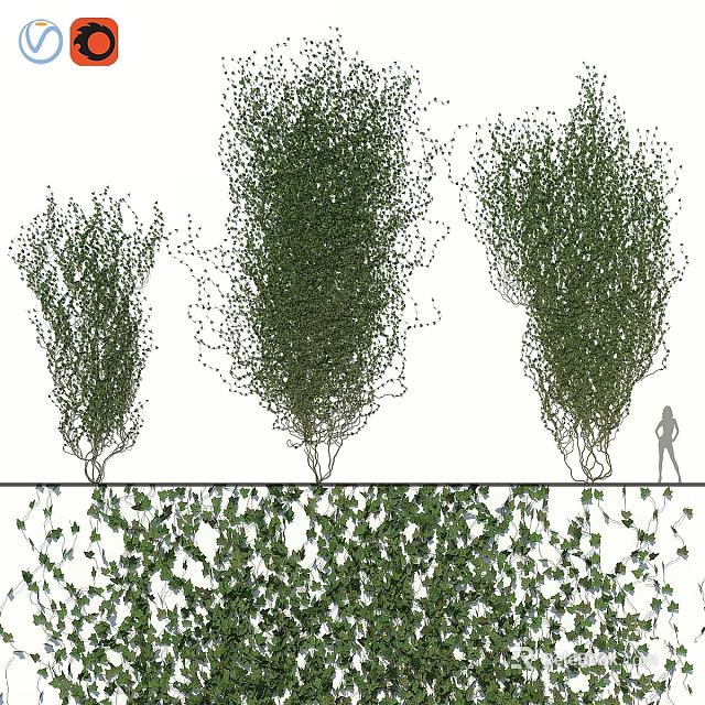 Decorative Ornament Set With Green Ivy Plants Various Sizes For Home Interior Decor 3d model 