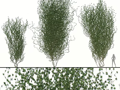 Decorative Ornament Set With Green Ivy Plants Various Sizes For Home Interior Decor 3d model