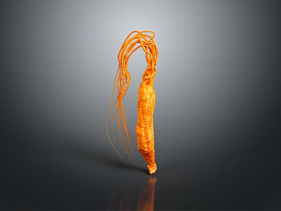 Fresh Orange Ginseng Like Food With Long Tendrils And Natural Shape On Dark Reflective Background 3d model