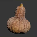 Fresh Ripe Orange Pumpkin With Unique Bulbous Shape And Textured Skin For Cooking
