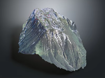 Detailed Mountain Terrain 3D Model with Topographic Texture and Digital Rendering 3d model