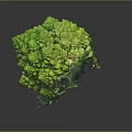 Vibrant Green Romanesco Broccoli Fresh Close Up With Unique Spiral Shape