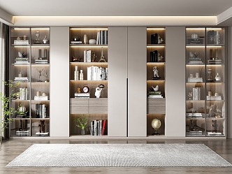 Modern bookcase 3d model