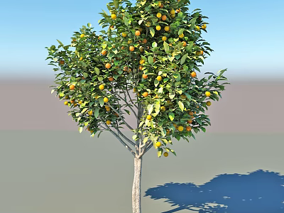 Arbor With Lush Green Leaves Yellow Fruits Brown Trunk And Blue Sky 3d model