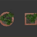 Two Ornamental Potted Green Trees In Round And Square Red Planters On Dark Surface