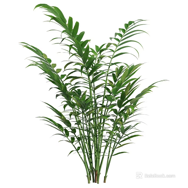Green Shrub with Lush Vibrant Leaves and Dense Foliage in Garden Landscape Design 3d model 
