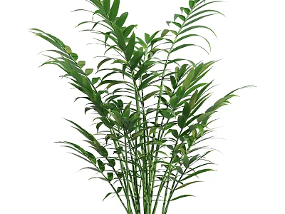 Green Shrub with Lush Vibrant Leaves and Dense Foliage in Garden Landscape Design 3d model