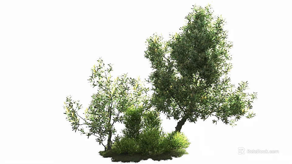 Lush Green Arbor With Dense Foliage And Natural Growth In Garden Area 3d model 