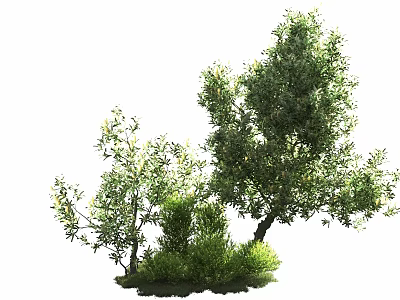 Lush Green Arbor With Dense Foliage And Natural Growth In Garden Area 3d model