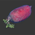 Vibrant Fresh Red Radish with Crisp Green Leaves on Reflective Black Studio Surface