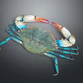 Vibrant Blue Legged Crab With Green Body And Orange Claws On Dark Background