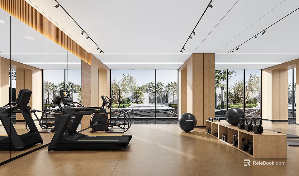 Modern Spacious Gym With Treadmill Exercise Bike Balls And Kettlebells Near Large Windows Greenery View 3d model 