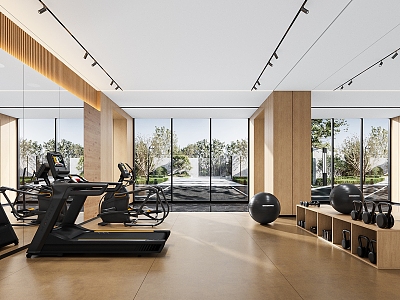 Modern Gym Fitness Area model