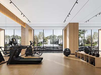 Modern Spacious Gym With Treadmill Exercise Bike Balls And Kettlebells Near Large Windows Greenery View 3d model