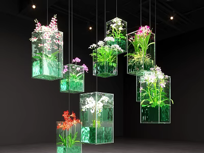 Hanging Glass Decorations With Transparent Cubic Containers Holding Colorful Orchids And Green Plants 3d model