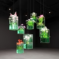 Hanging Glass Decorations With Transparent Cubic Containers Holding Colorful Orchids And Green Plants