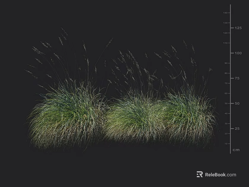 Two Clumps of Green Grass With Height Measurement Scale in Centimeter Units on Black Background 3d model 