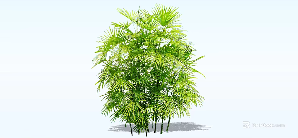 Lush Green Shrub With Vibrant Palm Like Leaves And Multiple Stems 3d model 
