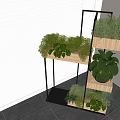 Bonsai Potted Plants on Multi Tier Wooden Metal Stand with Window Blinds Indoor