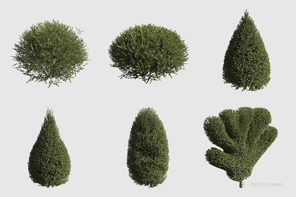 Various Shaped Garden Shrubs with Round Cone and Irregular Forms for Landscaping 3d model