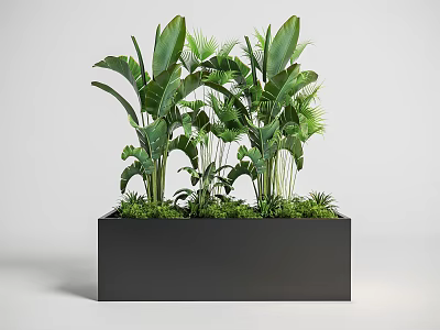 Bonsai Potted Plants in Black Rectangular Planter with Various Green Plants and Large Leaves 3d model
