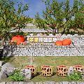 Rural Fruit Orchard Landscape With Stone Wall Wicker Baskets And Colorful Flowers