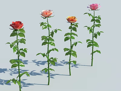 Beautiful Roses in Vase with Different Colors Stems Leaves Light Blue Background Shadows 3d model