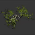 Weeping Willow With Long Green Drooping Branches And Slender Trunk On Dark Surface 3d model