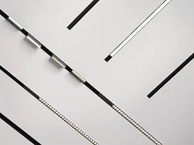 Modern Sleek Black and Silver Strip Design Downlights and Spotlights for Ceiling Indoor Lighting 3d model